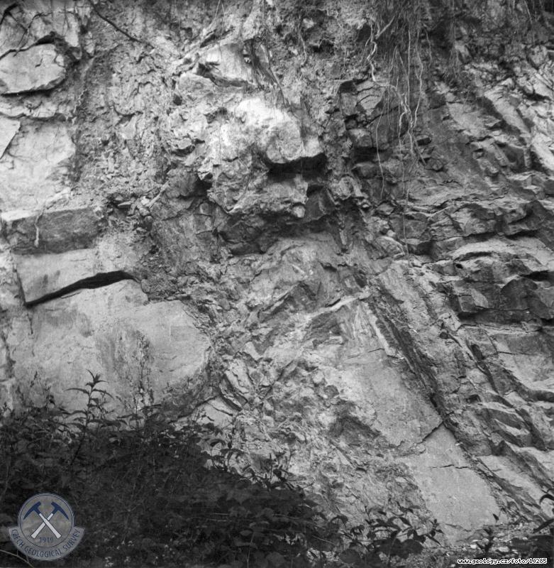 Fotografie : Detail odkryvu na levm svahu za pehradnm profilem., Hanuovce