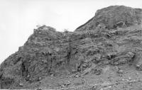 Severn okraj lomov stny sz. vrcholu Vinaick hory(cca410m). Rychl stdn tenkch proud edie a pkrov pyroklastik pod klonem do 40 stup., Bohumil erven, 1957
