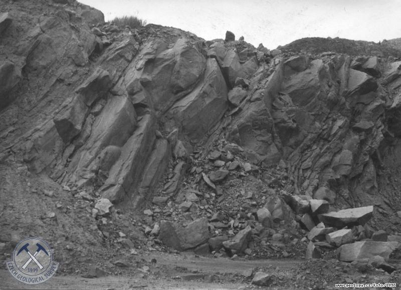 Fotografie : Nadlon pskovce v ke fosilnho sesuvu na dole Maxim Gorkij, sek Blina, Blina