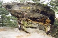 Husa - vrcholová skalka z železitého pískovce, Jiří Adamovič, 1999