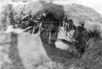 Vrapice u Kladna - lmek s bazlnmi kdovmi sedimenty na bulinkovm suku, Ji Adamovi, 1987
