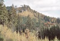 Borek - Lysý vrch tvořený pískovci křídového stáří, Pavla Gürtlerová, 2003