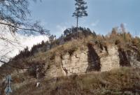 Borek - pod vrcholem Lysho vrchu (pskovce), nad trat vystupuj opuky svrchn kdy, Pavla Grtlerov, 2003