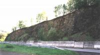 Andezitoidy j. st odkryvu (skaln stna nad silnic), Markta Vajskebrov, 2003