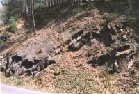 Prose - odkryv hornin eleznobrodskho vulkanickho komplexu, Markta Vajskebrov, 2003