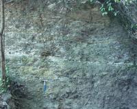 Obora - kopan profil prochzejc pelokarbontovm obzorem v sedimentech boskovick brzdy, Helena Gilkov, 2003