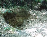 Obora - kopan profil prochzejc pelokarbontovm obzorem v sedimentech boskovick brzdy, Helena Gilkov, 2003