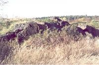 Pohled na relikt eklogitov skalky v severozpadn sti lomu, Veronika tdr, 2002
