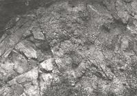Skaln stna v Petrovicch - petrovick vrstvy, detail, Boena Havlkov, 1965