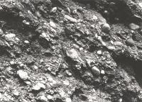 Skaln stna v Petrovicch - slepence petrovickch vrstev, Boena Havlkov, 1965