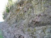 Strkovice skaln vchoz pi silnici - vchoz pulkrbsk sloje, Pavla Grtlerov, 2004