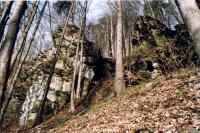 Slínovcové až vápencové skalní sruby na lokalitě Kozínek, Jiří Spíšek, 2003