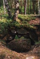 Pseudokrasov skaln brna (pohled shora), Pavla Grtlerov, 2003