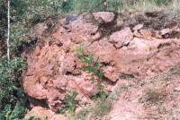 Ejpovické útesy - skalní výchoz útesu spodnoordovického moře, nejstarší autochtonní výskyt organismů příbojové zóny, Markéta Vajskebrová, 2005