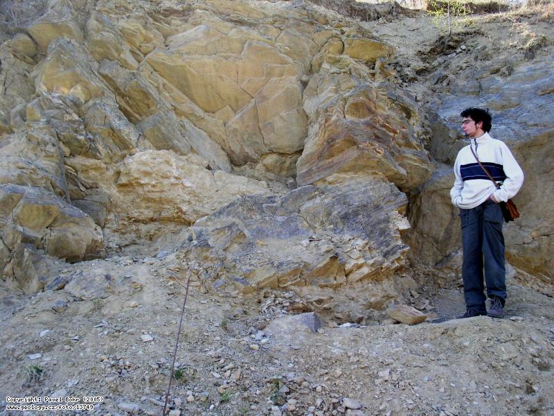 Fotografie Kapsa kdovch sediment : Kapsa kdovch sediment v kutnohorskm krystaliniku, Lom u Velimi