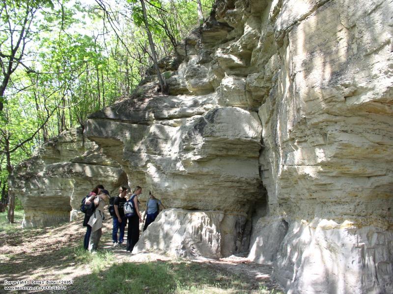Fotografie Hostibejk: Karbonsk a kdov sedimenty na vrchu Hostibejk u Kralup nad Vltavou, Hostibejk