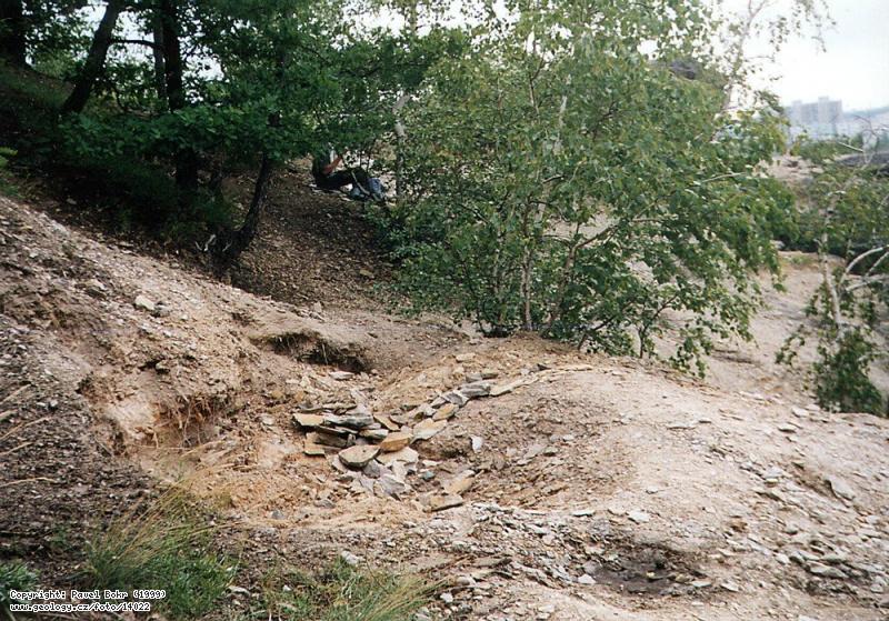 Fotografie Karbonsk sedimenty: Karbonsk sedimenty na Lobesk skle, Lobesk skla