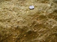 Porfyrick biotitick granit a granodiorit na ndvo hradu Loket s vyrostlicemi draselnho ivce., Pavla Grtlerov, 2007