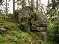 Vchozy granit na jinm svahu Jelenho vrchu., Pavla Grtlerov, 2007