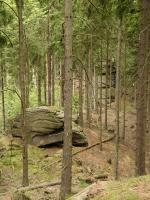Vchozy granit na hbet Jelenho vrchu, Pavla Grtlerov, 2007