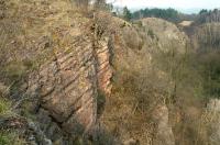 Významný stratigrafický profil od pragu do eifelu s paleontologickými lokalitami ve všech odkrytých členech., Jan Moravec, 2006