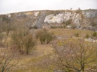 la granodioritovho porfyru v eln stn horosedelskho lomu pronik vpenci, Pavla Grtlerov, 2009