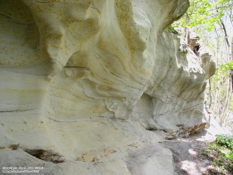 Fotografie Dvokova stezka: Dvokova stezka - karbonsk sedimenty, Dvokova stezka (mezi Kralupami nad Vltavou a Nelahozavs)
