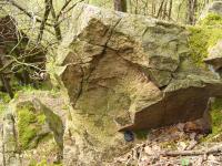 Vchozy granit nasavrckho plutonu ve svazch nad dolm Chrudimky, Pavla Grtlerov, 2008