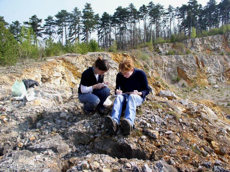 Fotografie Sbr zkamenlin: Paleontologov pi sbru zkamenlin v lomu Pleivec u Konprus, Pleivec u Konprus