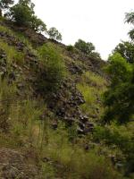 st lomov stny na zpadnch svazch Pleivce, sloupcovit odlunost ediovch hornin, Pavla Grtlerov, 2009