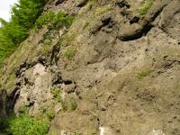 Hrubozrnn vulkanoklastika na vchozech pi silnici Dn - Beneov nad Plounic (pyroklastika bazaltoidnch (prp. trachybazaltickch) hornin), Pavla Grtlerov, 2009