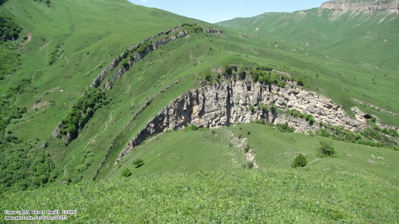 Fotografie Vrsa: Velk vrsa ve vpencch, vchodn Kavkaz, Vchodn Kavkaz