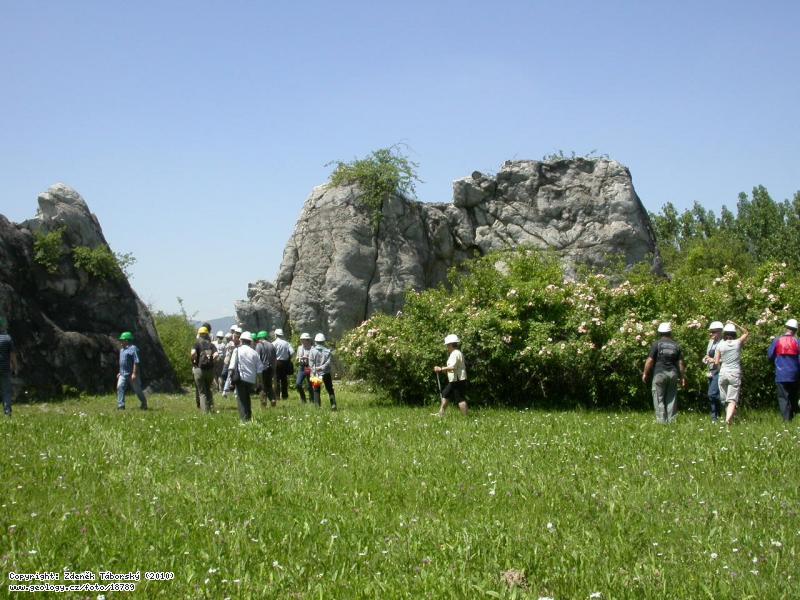 Fotografie 25. exkurze GSpol.: astnci exkurze esk geologick spolenosti, Cementrna - lom