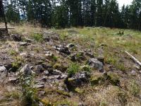 Sutě silicitů se stromatolity v okolí kóty Kokšín (684m), Pavla Gürtlerová, 2010