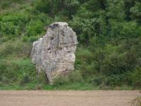 Solitrn skaln v tvoena pskovci svrchnho karbonu., Pavla Grtlerov, 2010