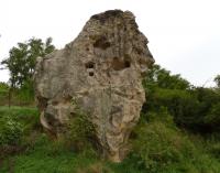 Solitrn skaln v tvoena pskovci svrchnho karbonu., Pavla Grtlerov, 2010