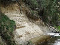 Odtrhy v nárazovém břehu řeky Lužnice odkrývají zajímavé profily pleistocenními a místy i křídovými sedimenty., Miroslav Hátle, 2010