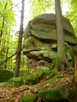 Vchozy granit typu Homolka v okol kty Fabin (610 m n. m)., Pavla Grtlerov, 2010