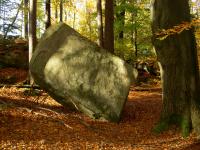Vchozy granit typu Homolka v okol kty Fabin (610 m n. m)., Miroslav Htle, 2007