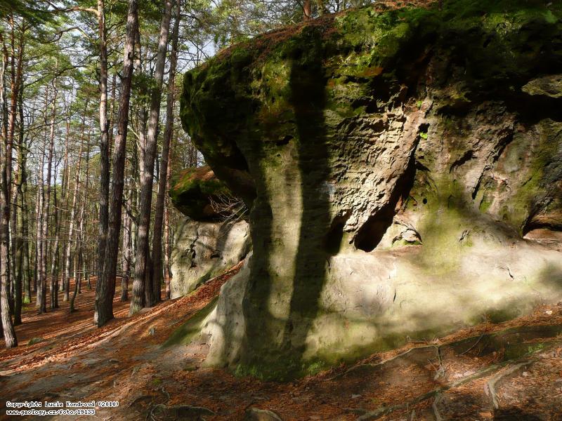 Photo : Sandstone rocks above the Kokonsk valley, Kokonsk dl