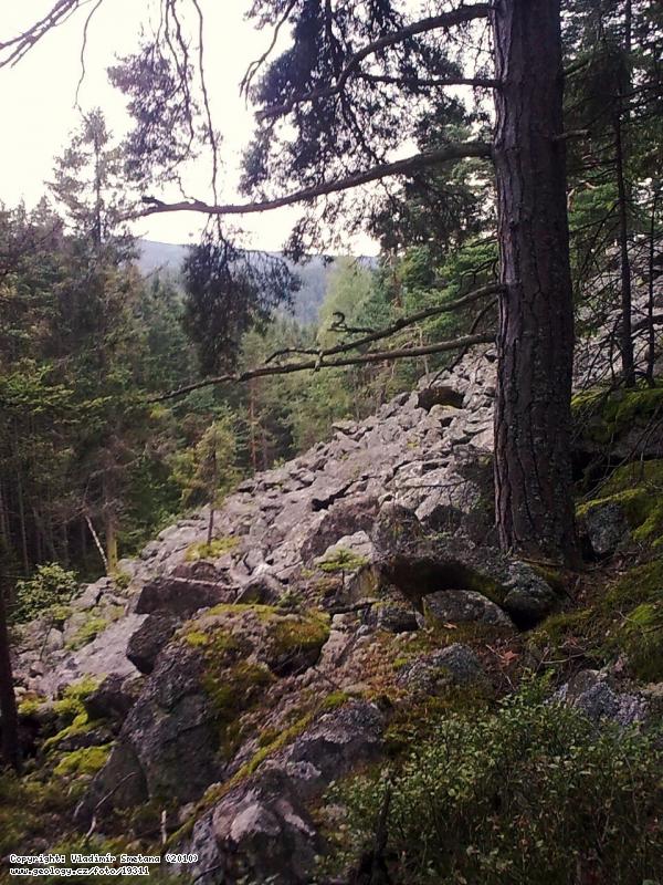 Fotografie : Ortorula, afv vrek, kamenn moe nad . Losenic., afv vrek, 5 km SZ od Churova, nad . Losenic.