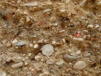 Souvrstv sediment vplavovho kuele pleistocennho st s roztrouenmi medlovickmi porcelanity v celm profilu., Vladimr ek, 2011