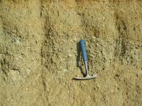 Poloha trk ottnangu v stedn zrnitch pscch, fluvln sedimentace., Pavla Tomanov Petrov, 2011