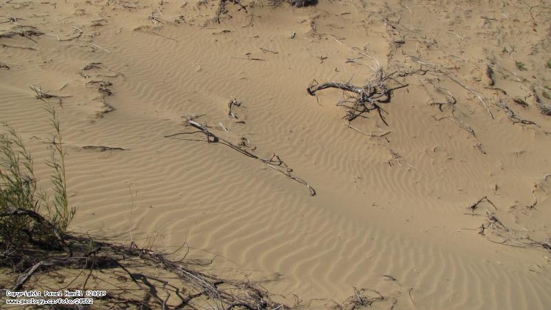 Photo : Sand dune , Molcog els