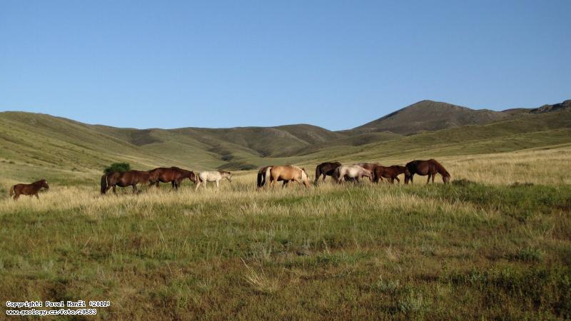 Fotografie Khushig uul: Vrchol Khushig uul, centrln Mongolsko, Luun