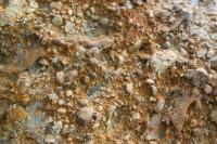 Skalní výchoz v lukovských vrstvách - detail slepencové polohy v rámci turbiditních sedimentů., Roman Novotný, 2011