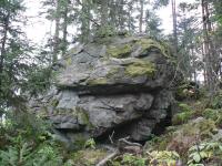 Výrazný skalní výchoz o výšce cca 3m a rozlohou 10x5m je tvořen retrogresovaným felsickým granát-biotitickým granulitem až granulitovou rulou se sillimanitem. Přítomné jsou i taveninové kapsy., Igor Soejono, 2011