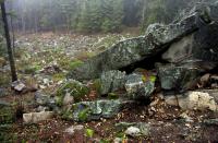 Kamenn moe na svahu pod ktou 658,8 m n.m. ertv kmen., Barbora Dudk Schulmannov, 2010