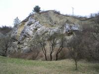 Na jurskch vpencch diskordantn nasedaj svrchnokdov sedimenty - slnovce., Ji Burda, 2012
