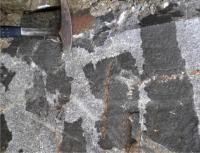 Enklvy diorit v biotitickm granitu, pklad men magmat., David Burinek, 2010